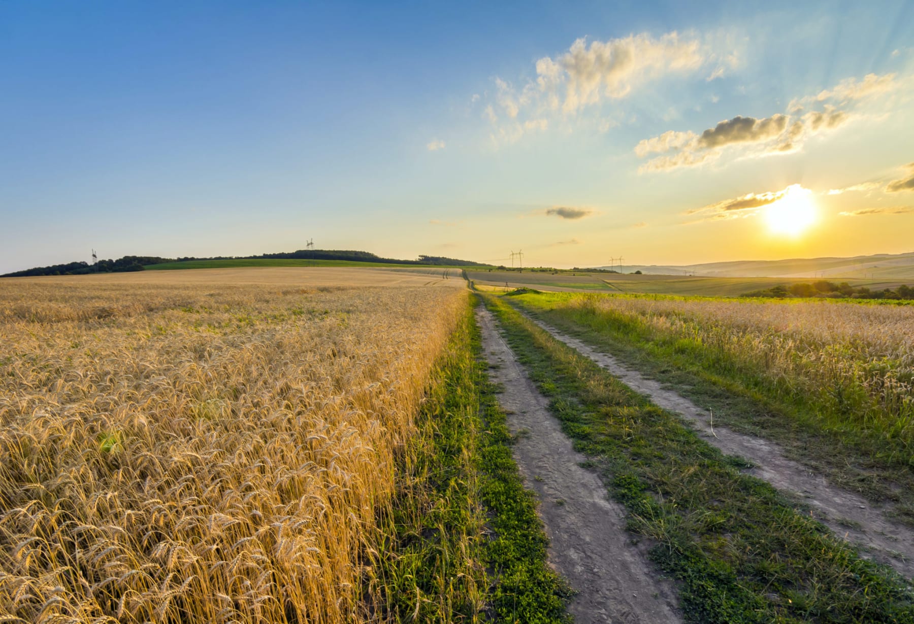 farm fields at sunset in a lightly populated region