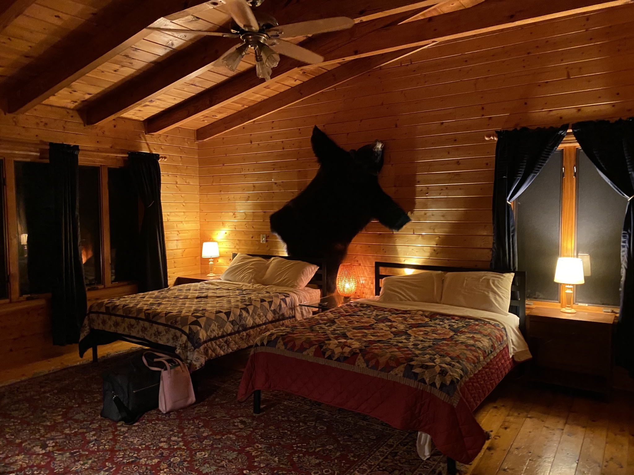 Luxury Off Grid Cabins With Steam Sauna photo