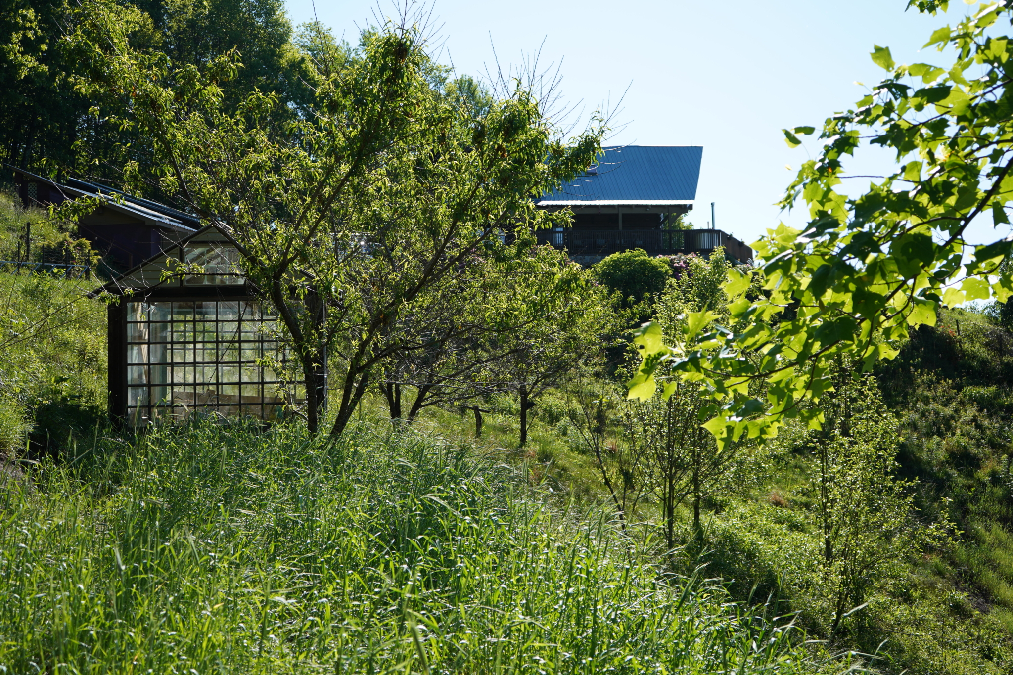 Photo inspiration: Picture Idea: Luxury Off Grid Cabin The The Pisgah National Forest