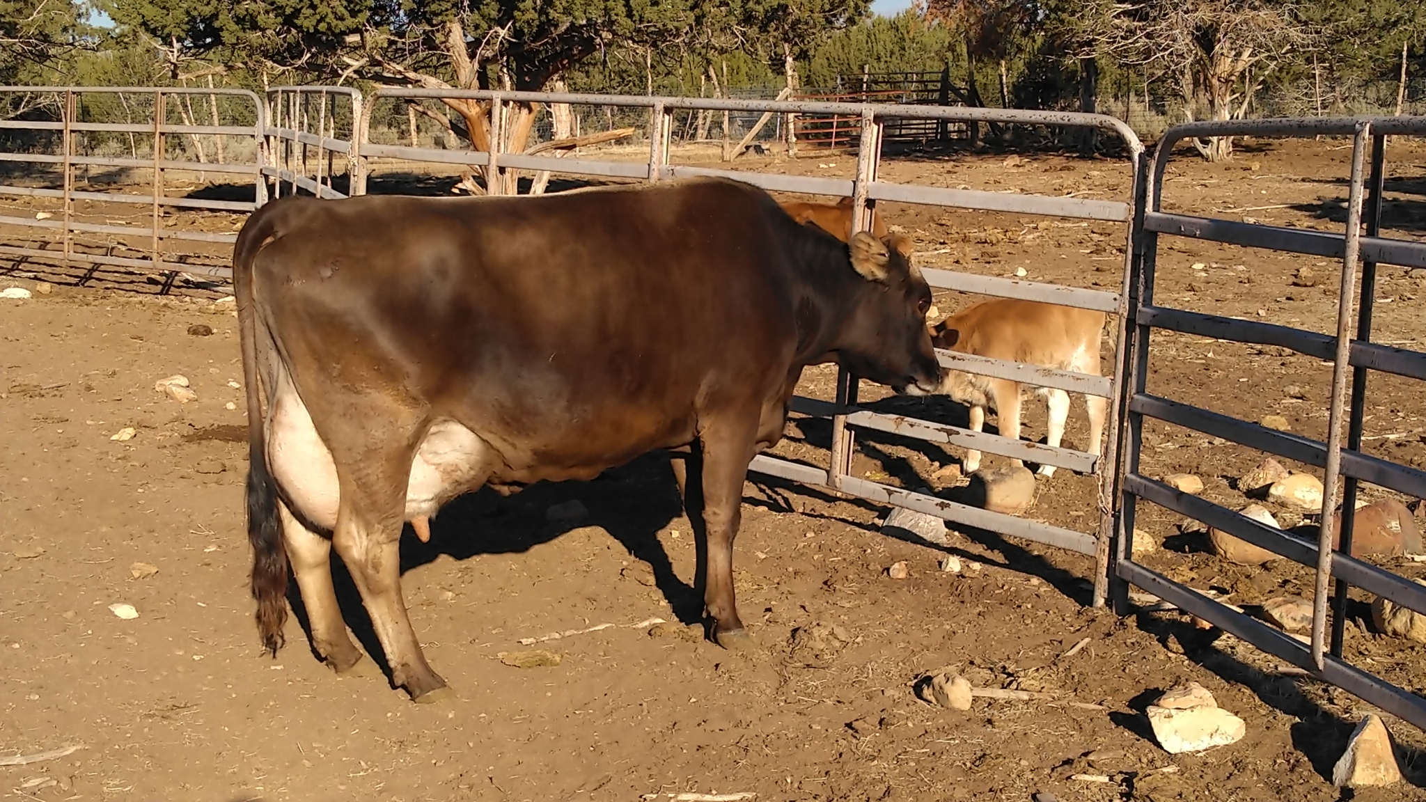 Cow Track Ranch Turkey Track Ranch - Diverse Productive Property - SurvivalRealty.com